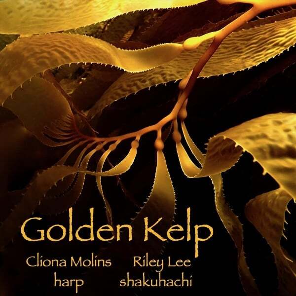 Cover art for Golden Kelp